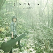 PANGEA artwork