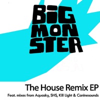 Big Monster (The House Remixes) - EP - Baobinga & id
