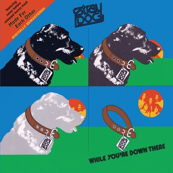 Обложка альбома «While You're Down There (Remastered)» — Stray Dog