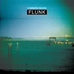 Common Sense - Single - Flunk