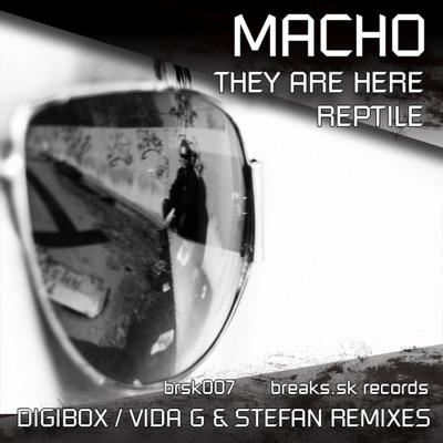 Reptile / They are here