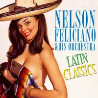 La Cinta Verde — NELSON FELICIANO