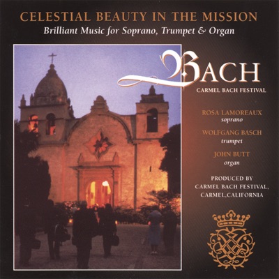 Celestial Beauty In the Mission