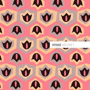 Voyage Vol. 1