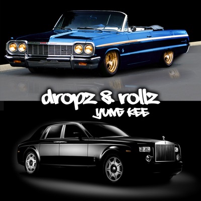 Dropz & Rollz