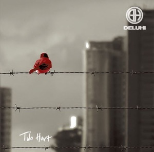 Two Hurt · DELUHI