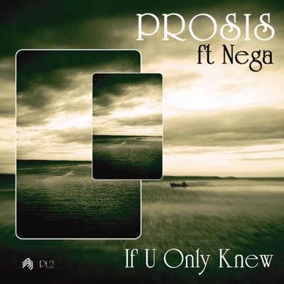If U Only Knew Remixes, Pt. 2 (feat. Nega)