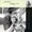 Mike Stevens - Grumbling Old Man, Grumbling Old Woman