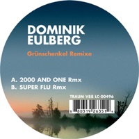 Grünschenkel Remixe - EP - Dominik Eulberg