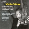 Viola View