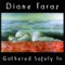 Grace - Diane Taraz lyrics