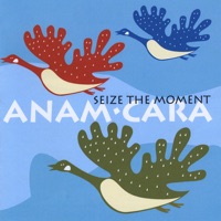 Seize the Moment - Anam Cara