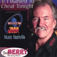 Joe Berry & The Berry Pickers - God Bless America Again