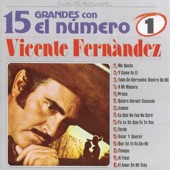 15 Grandes Con el Número Uno: Vicente Fernàndez artwork