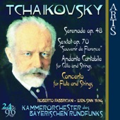 Serenade for Strings Op.48 In C Major: I. Pezzo In Forma Di Sonatina: Andante Non Troppo - Allegro Moderato - Andante Non Troppo (Tchaikovsky) artwork