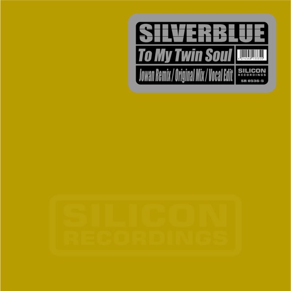 To My Twin Soul - Single