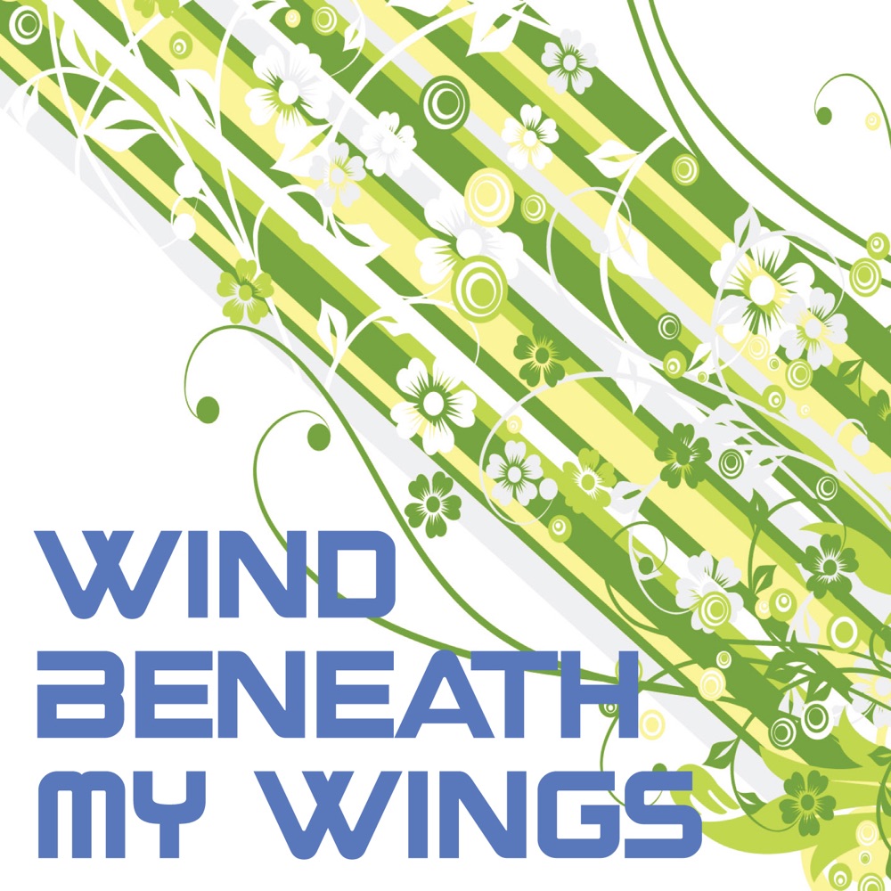 Обложка альбома «Wind Beneath My Wings - Single» — National Symphony Orchestra Of South Africa