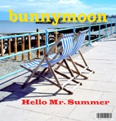 Hello Mr. Summer - Single