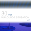 30 Songs Nu Lounge Sensation, Vol. 1 - Various Artists