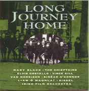 Long Journey Home - The Irish In America - Various Artists
