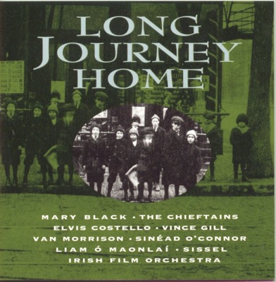 Long Journey Home - The Irish In America