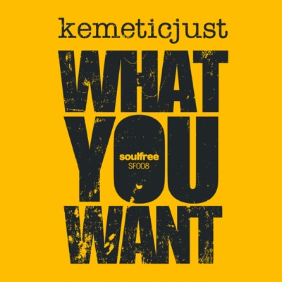 What You Want - Single