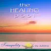 Llewellyn - The Healing Pool (feat. Juliana)