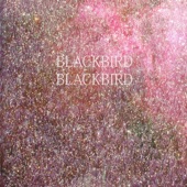 Blackbird Blackbird - Pure