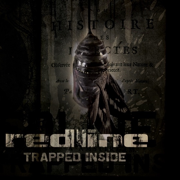 Trapped Inside