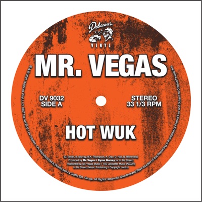 Mr. Vegas