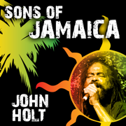 The Way We Are - John Holt