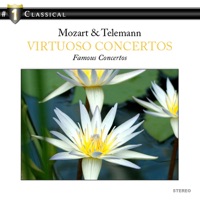 Viola Concerto in G Major, TWV 51:G9: I. Largo