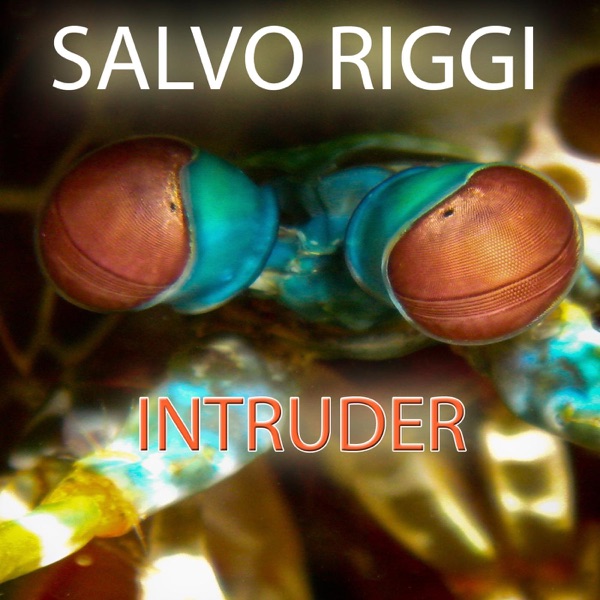 Intruder (Original Mix)