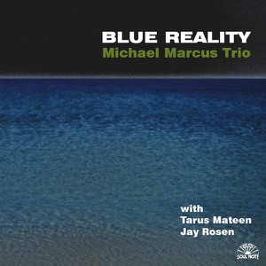 Blue Reality (With Tarus Mateen & Jay Rosen)