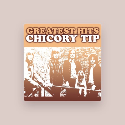 Chicory Tip