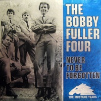 The Bobby Fuller Four Ablum Cover