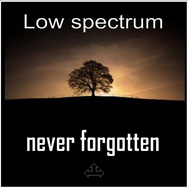 Never Forgotten - Single