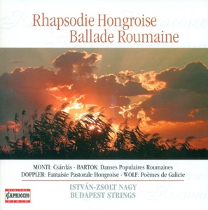 Flute and String Orchestra Arrangements