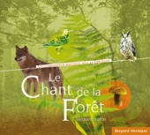 Le chant de la forêt - Un compositeur dialogue avec la création