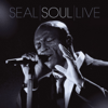 A Change Is Gonna Come (Live) - Seal