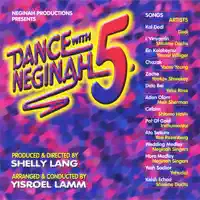 Wedding Medley — Neginah Orchestra