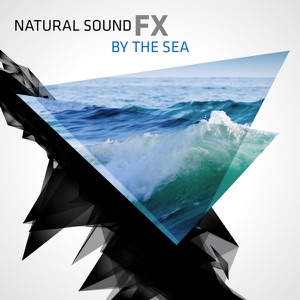 Natural Sound FX: By the Sea