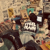 Steel Train - Bullet