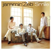Jammin'Zeb - YOU RAISE ME UP