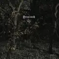 Beyond The Grave