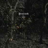 Jeeza — Veracrash