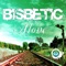 Alone (Sergio Sergi Crazy Remix) - Bisbetic lyrics