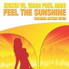 Feel the Sunshine (Summer Anthem 2008) [Extended Mix]