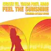 Kicken, Yasca & Nado - Feel the Sunshine (Summer Anthem 2008) [Extended Mix]