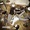 THE LEAGUE - F_ RNR